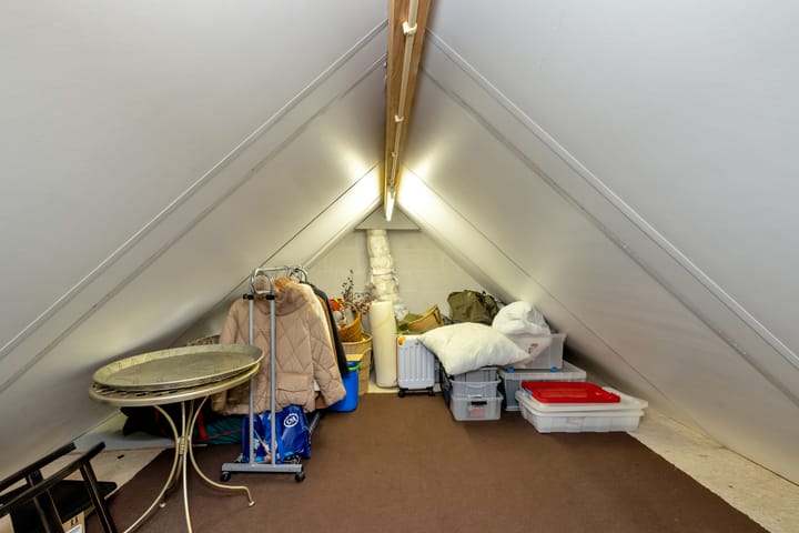 Foto 53 van Hermelijnvlinder 6