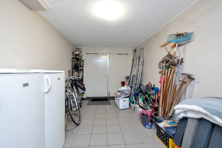 Foto 57 van Hermelijnvlinder 6