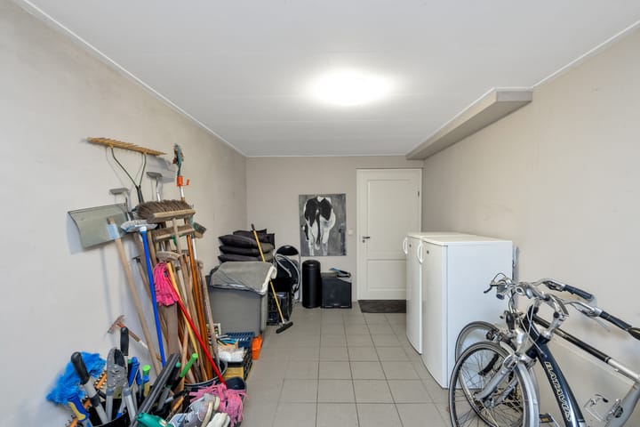 Foto 58 van Hermelijnvlinder 6