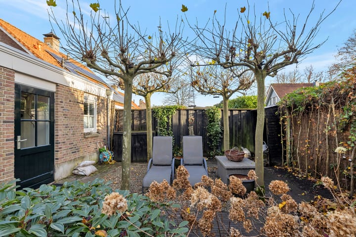 Foto 64 van Hermelijnvlinder 6