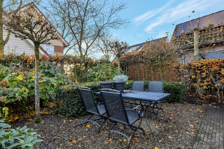 Foto 66 van Hermelijnvlinder 6