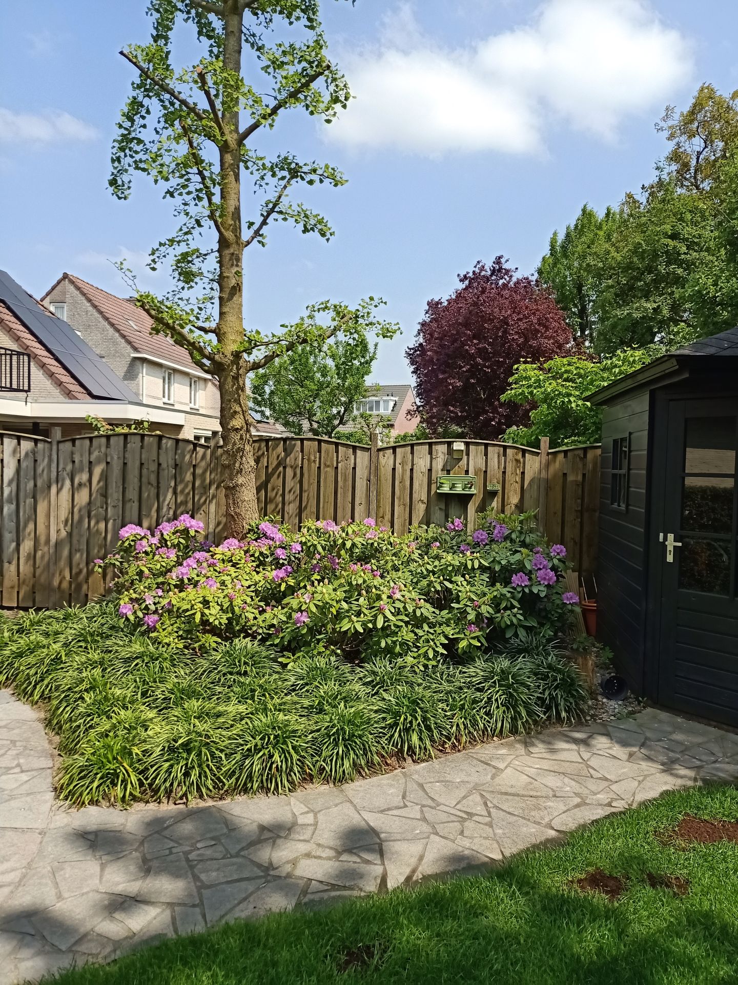 Foto 40 van Hopveld 25