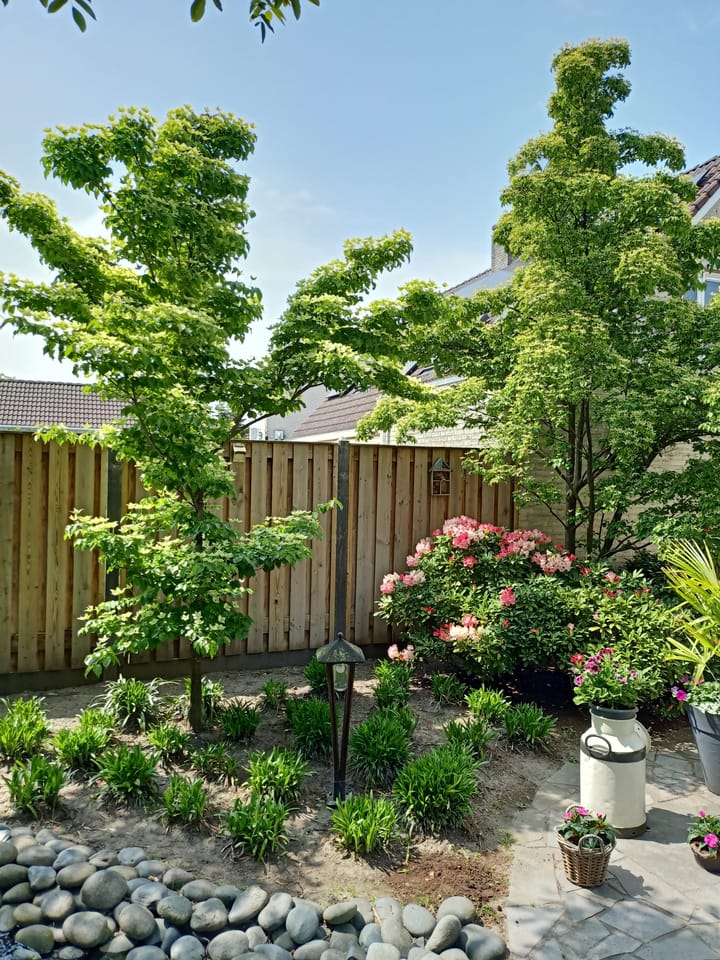 Photo 41 of Hopveld 25