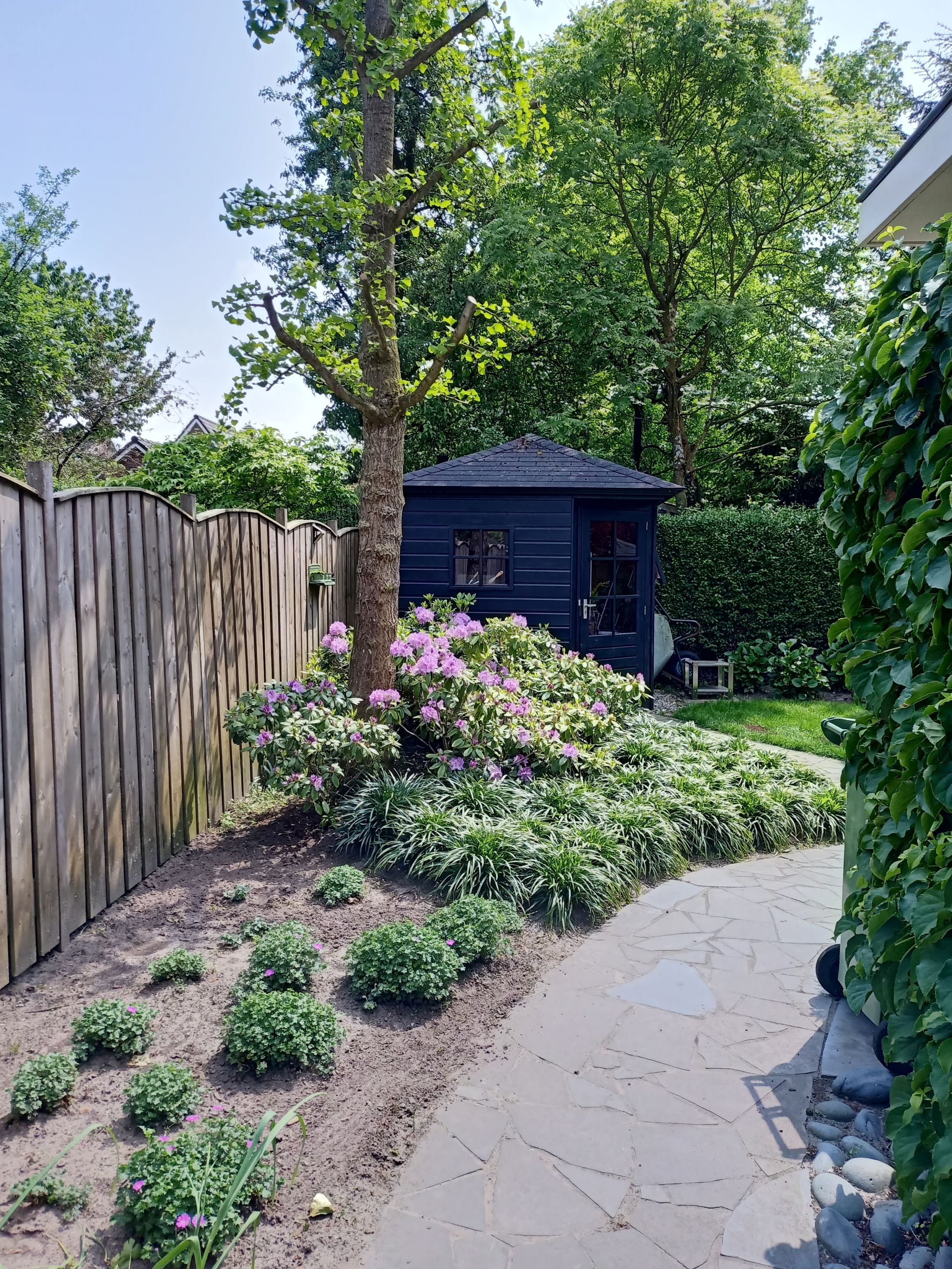 Foto 42 van Hopveld 25