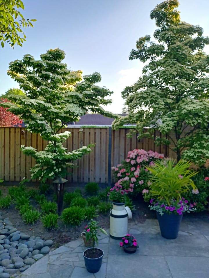 Photo 43 of Hopveld 25