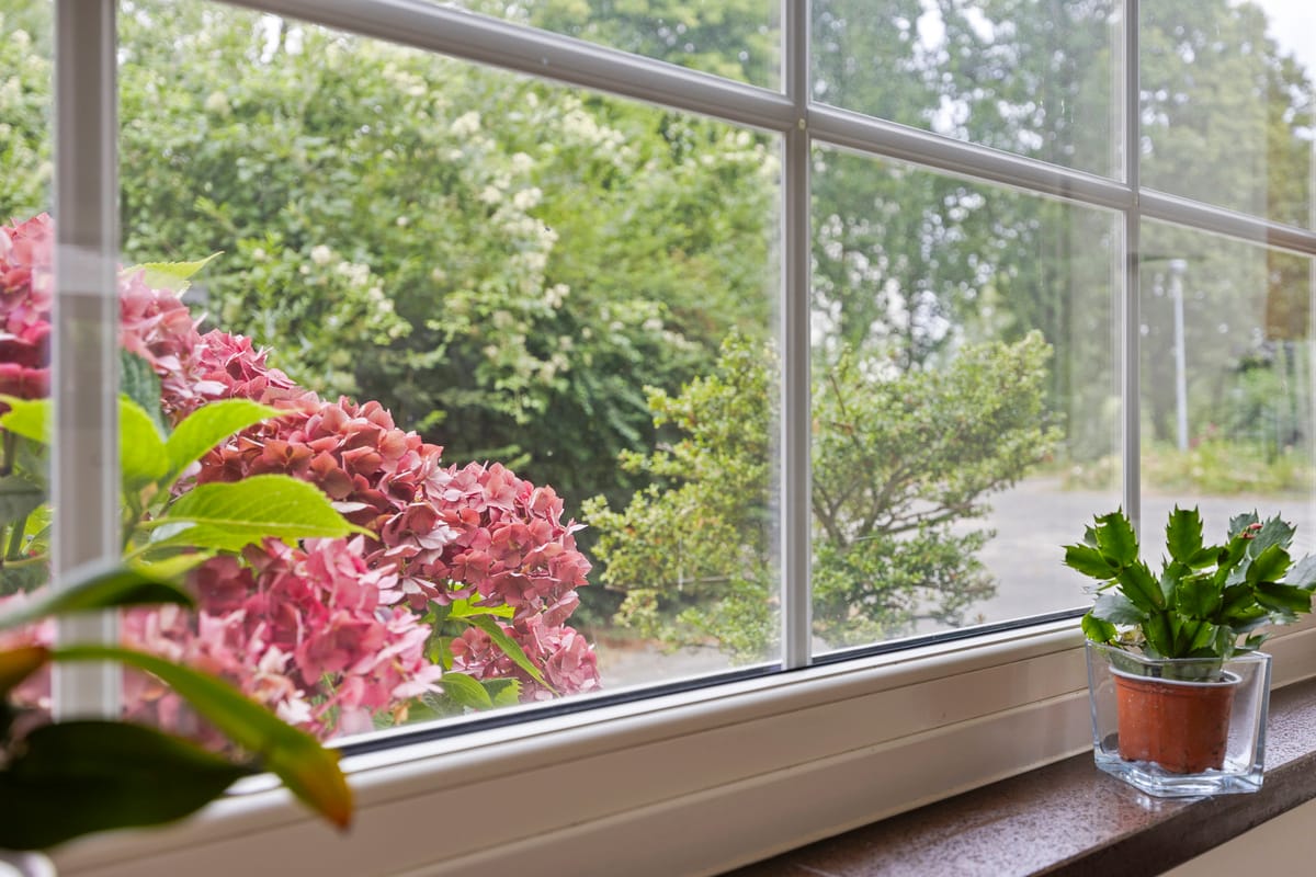 Foto 15 van Graan voor Visch 14508