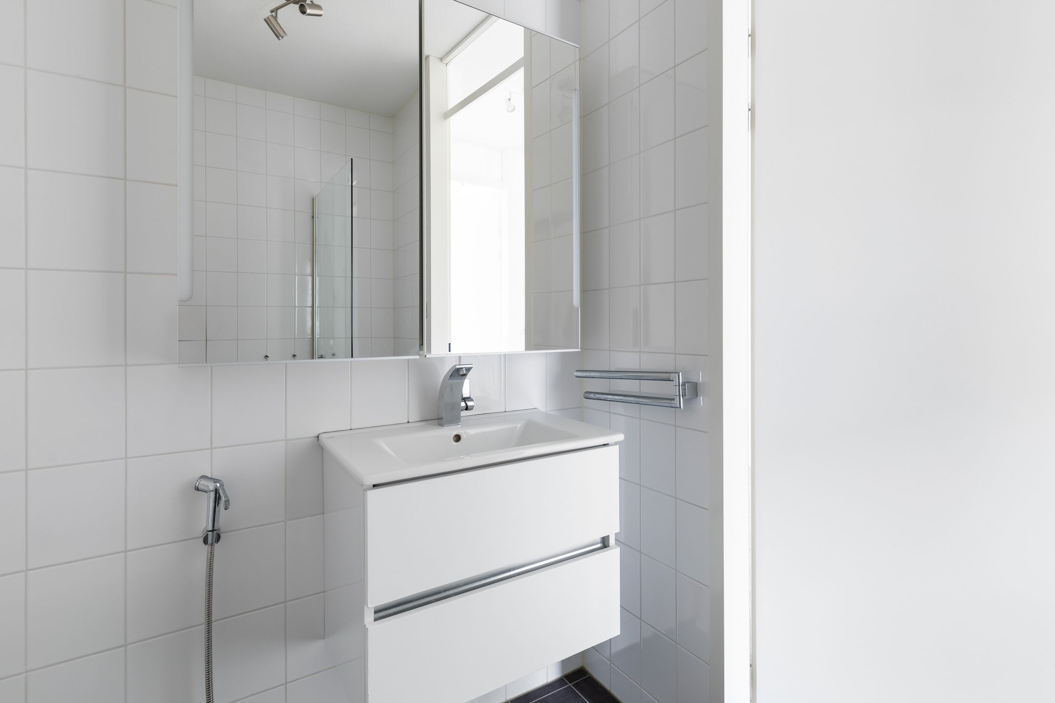 Foto 27 van Zwaanshals 230