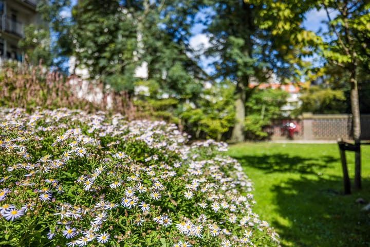 Foto 40 van Erik de Roodestraat 27-1