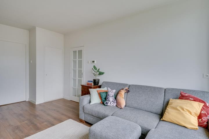 Foto 6 van Van Ostadelaan 110