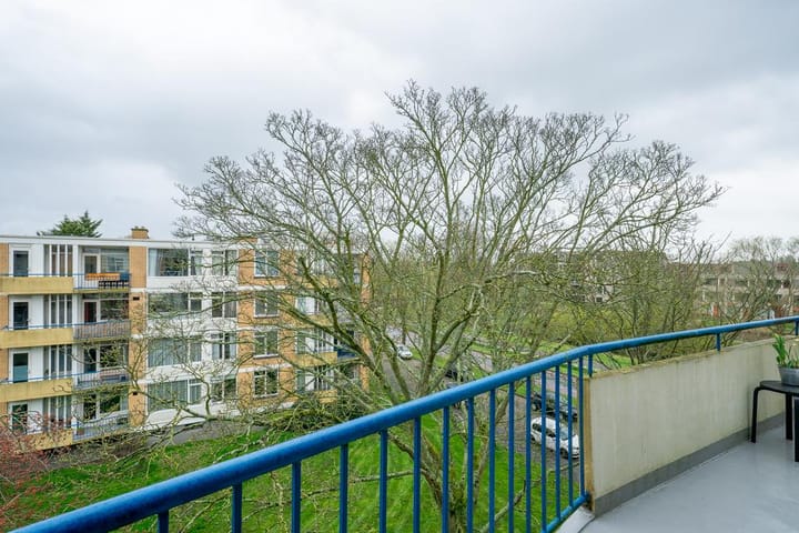 Foto 19 van Van Ostadelaan 110