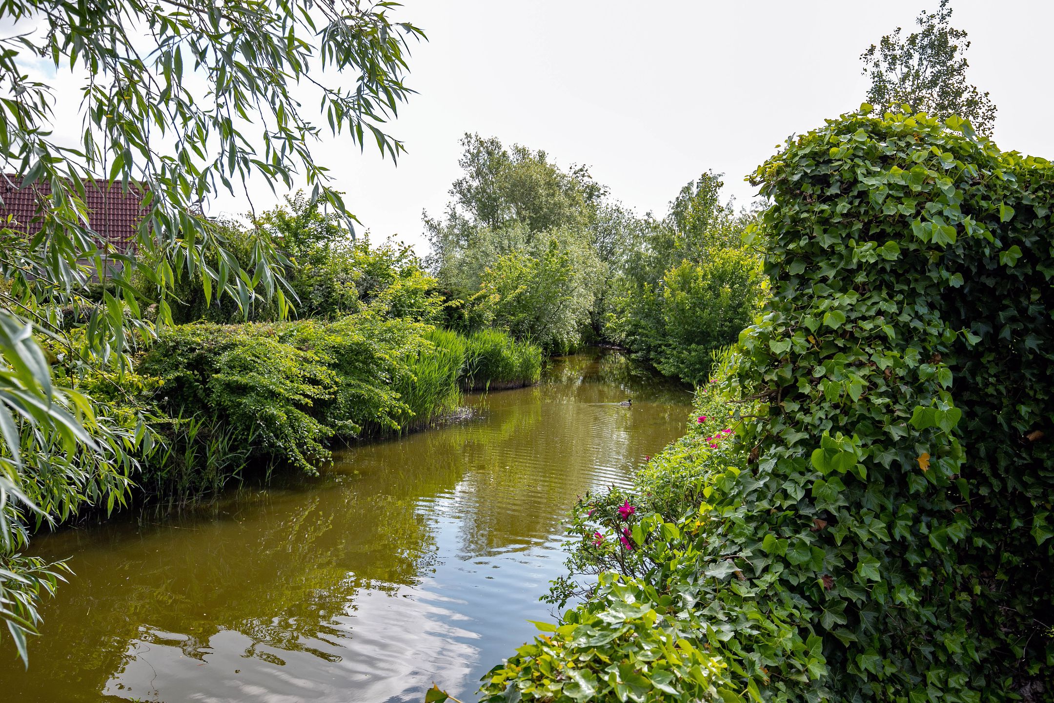 Foto 18 van Nieuwesluisweg 1-143