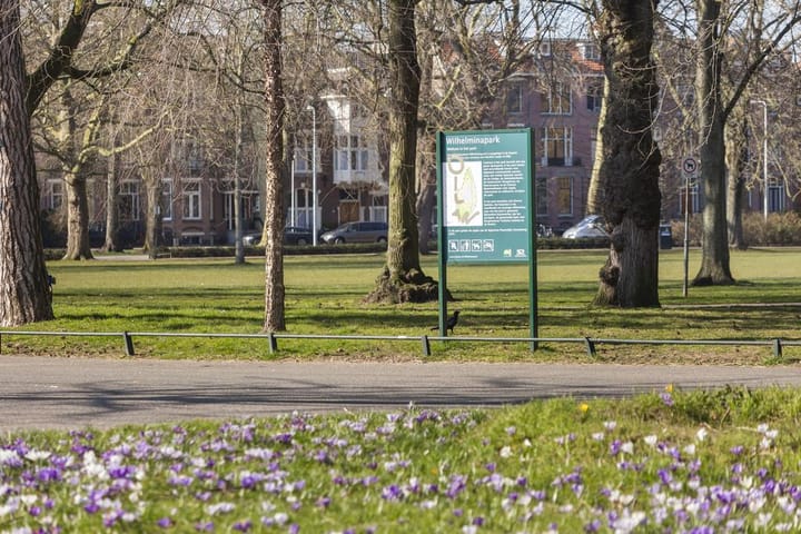 Foto 48 van Koningslaan 36