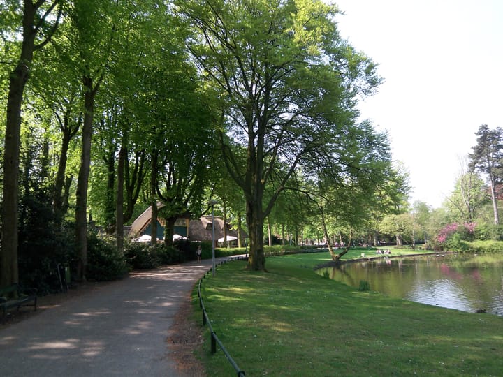 Foto 49 van Koningslaan 36