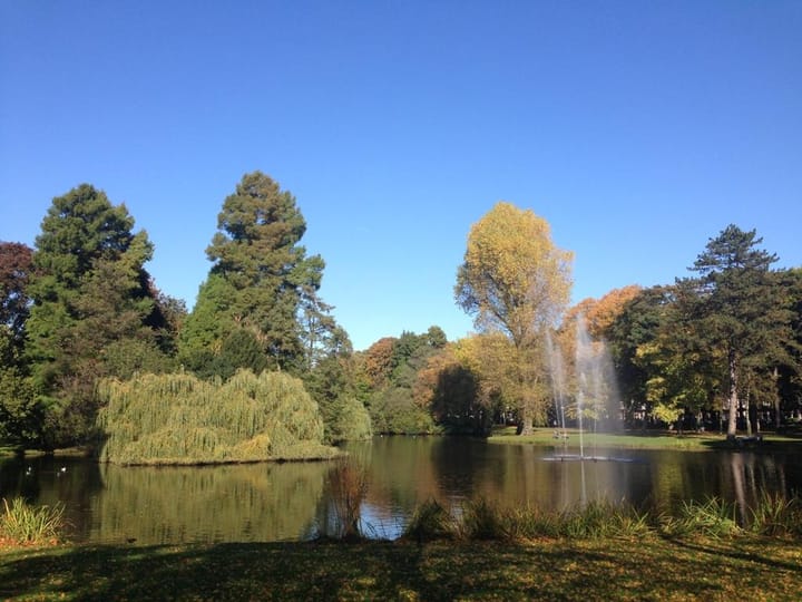 Foto 51 van Koningslaan 36