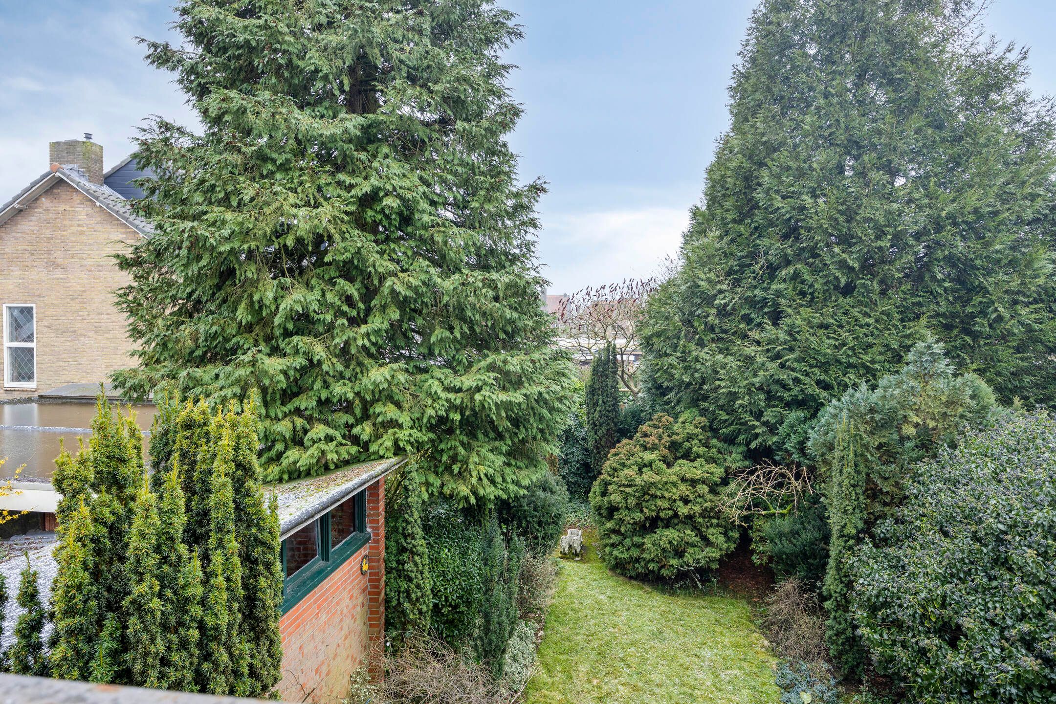 Foto 18 van van Dorthstraat 4