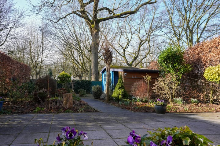 Foto 11 van In de Molt 15