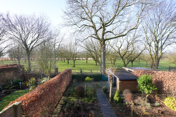 Foto 25 van In de Molt 15