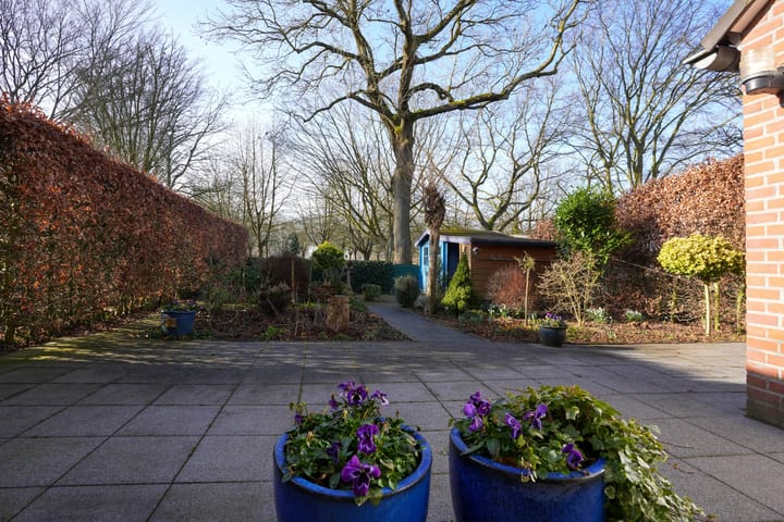 Foto 35 van In de Molt 15