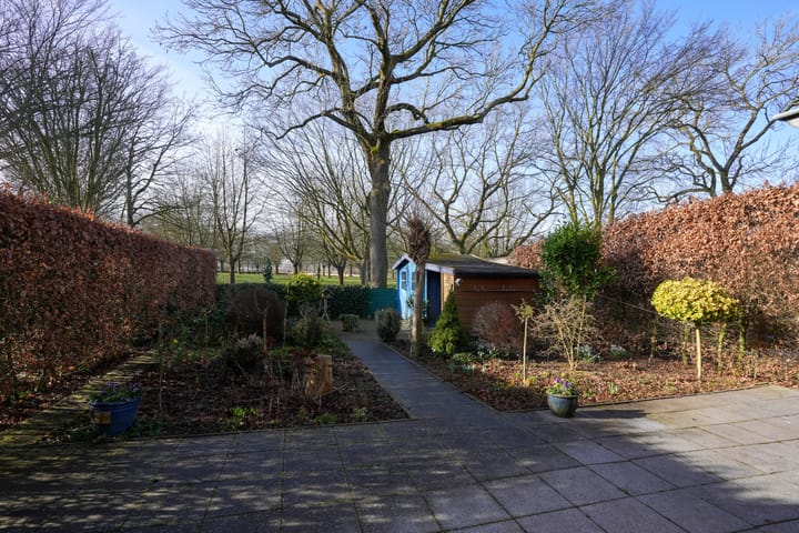 Foto 36 van In de Molt 15