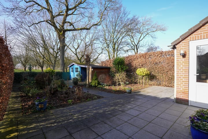 Foto 37 van In de Molt 15