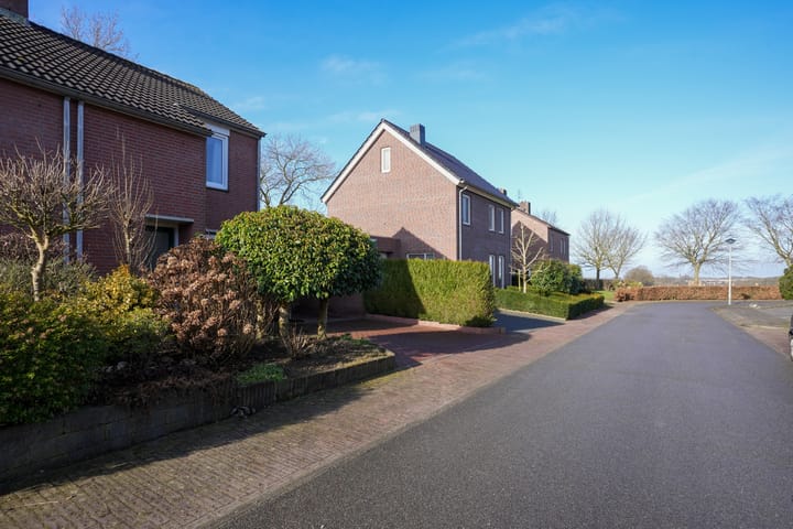 Foto 45 van In de Molt 15