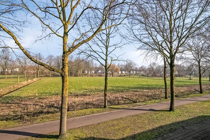 Foto 32 van Appeldijk 8