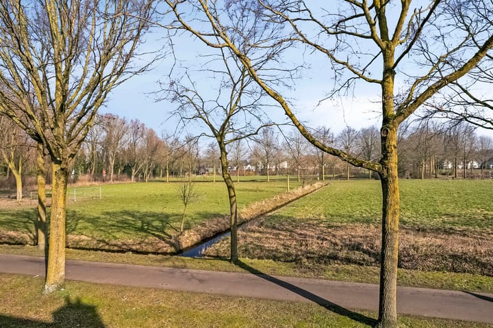 Foto 34 van Appeldijk 8