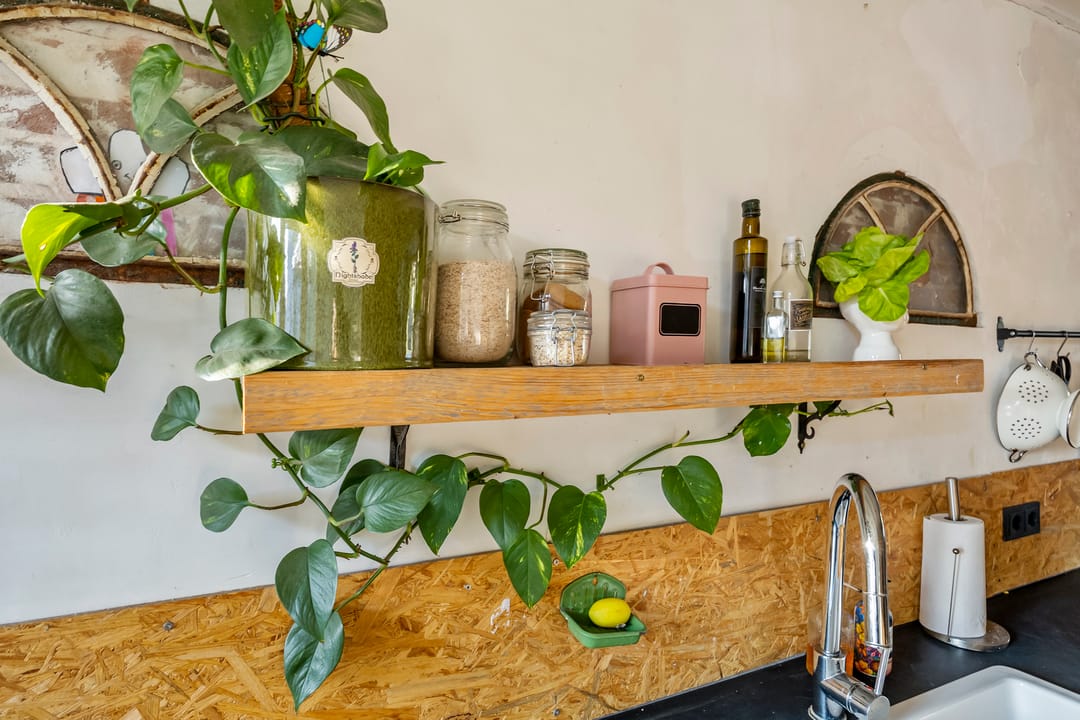 Foto 7 van W. de Vries Robbéweg 32