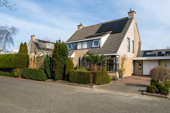 Foto 1 van Klokschildpad 26