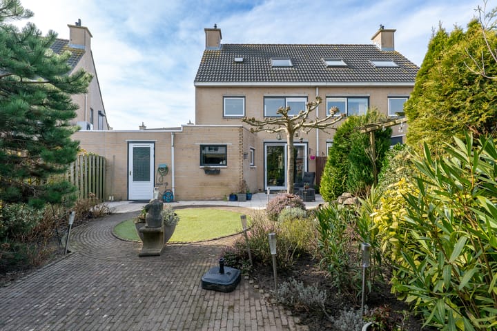 Foto 2 van Klokschildpad 26