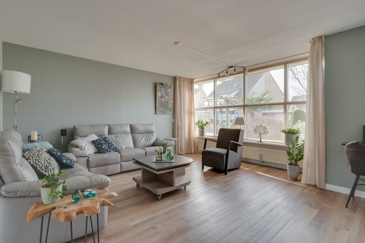 Foto 5 van Klokschildpad 26