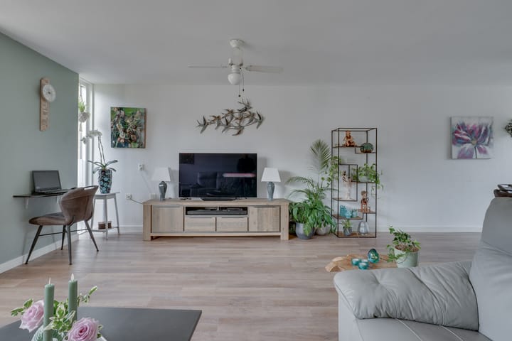 Foto 7 van Klokschildpad 26