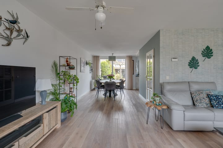 Foto 8 van Klokschildpad 26