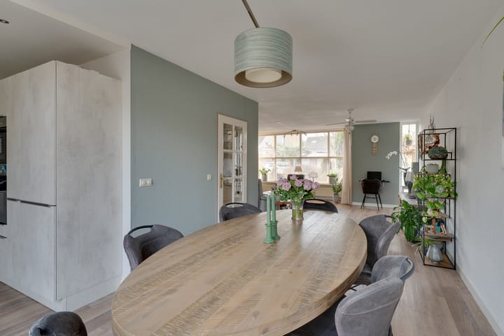 Foto 13 van Klokschildpad 26