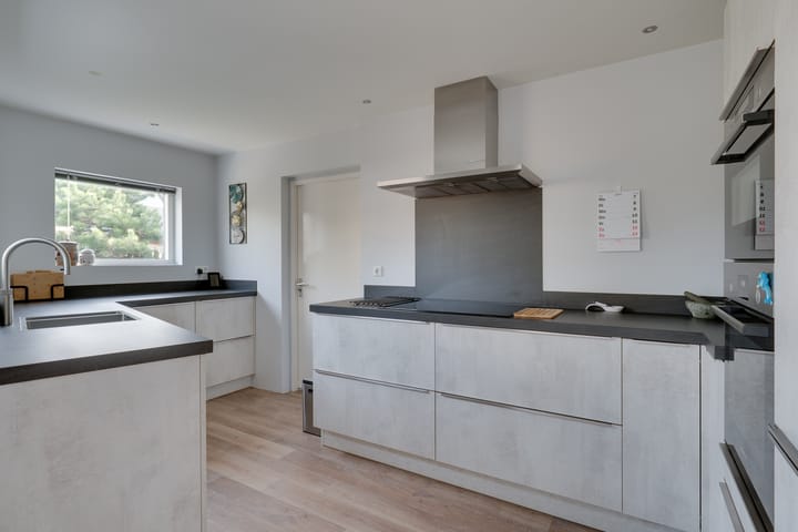 Foto 15 van Klokschildpad 26