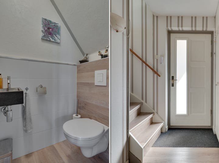 Foto 19 van Klokschildpad 26