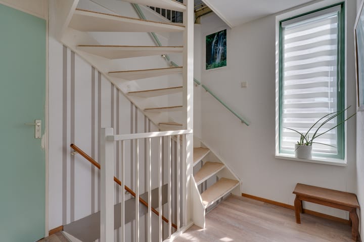 Foto 20 van Klokschildpad 26