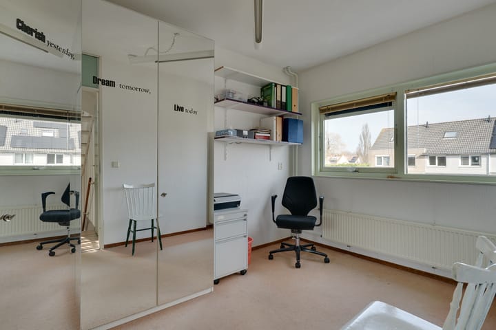 Foto 21 van Klokschildpad 26