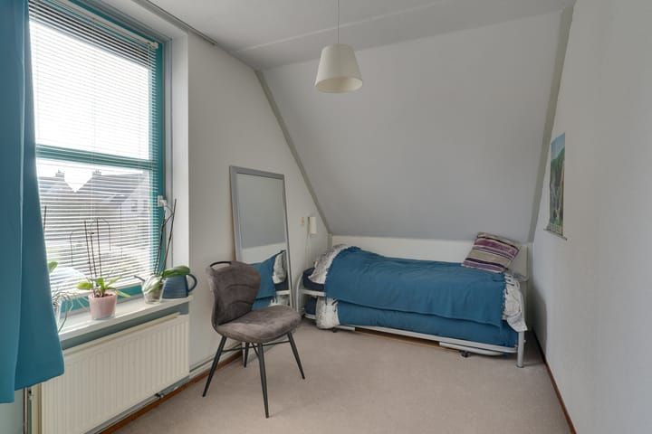 Foto 23 van Klokschildpad 26