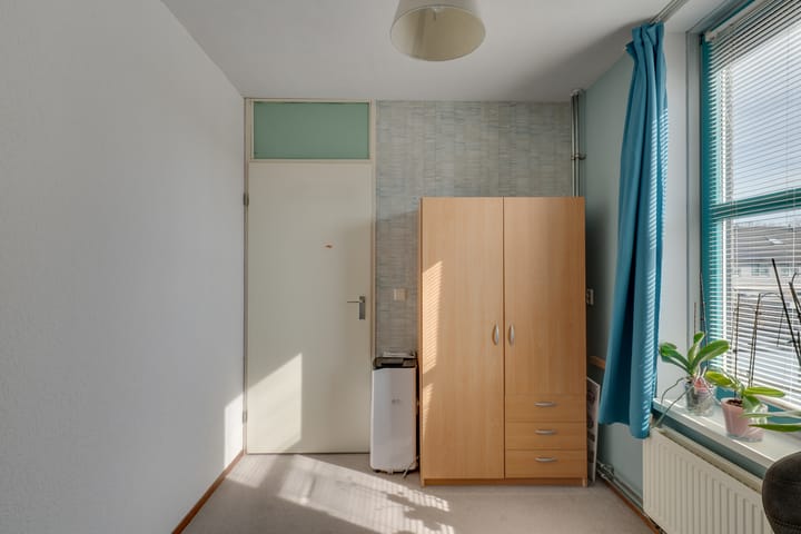 Foto 24 van Klokschildpad 26