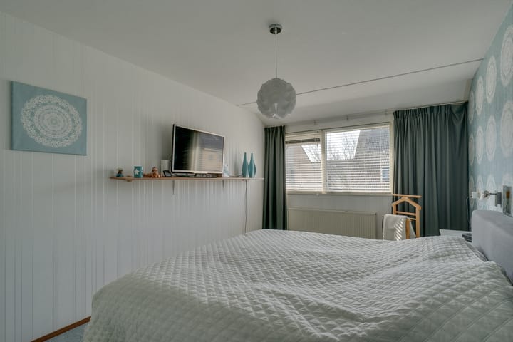 Foto 26 van Klokschildpad 26