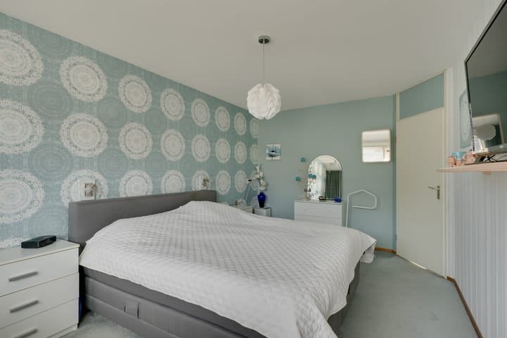 Foto 27 van Klokschildpad 26