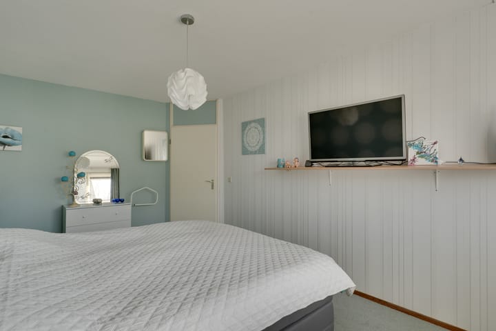 Foto 28 van Klokschildpad 26