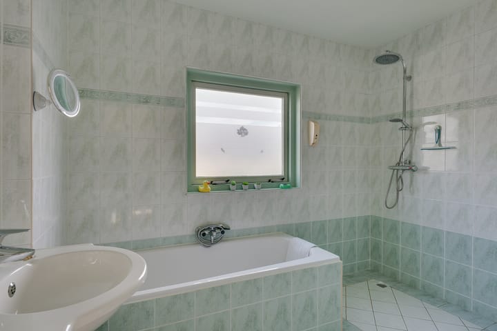 Foto 29 van Klokschildpad 26