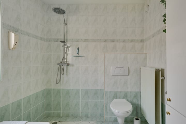 Foto 30 van Klokschildpad 26