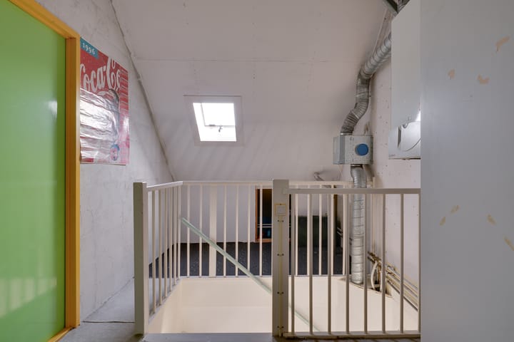 Foto 32 van Klokschildpad 26