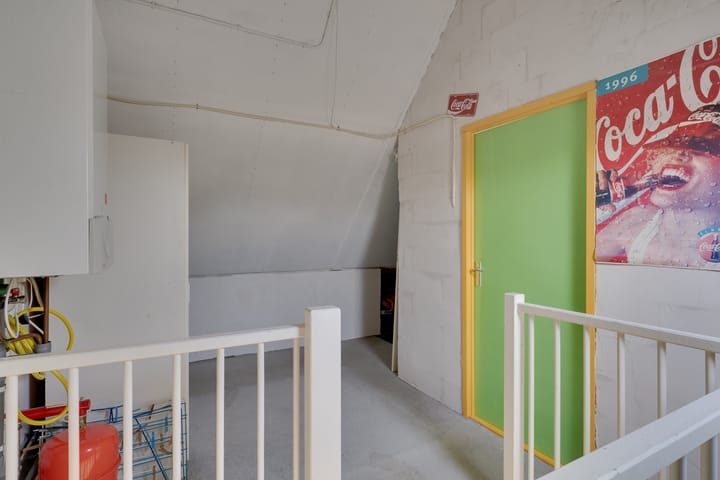 Foto 33 van Klokschildpad 26