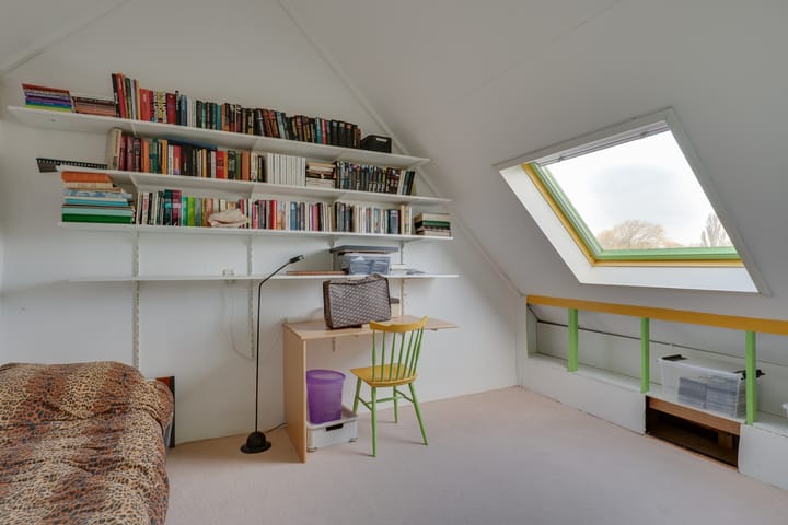 Foto 34 van Klokschildpad 26