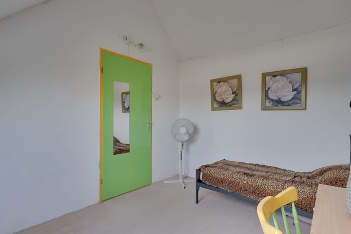 Foto 35 van Klokschildpad 26