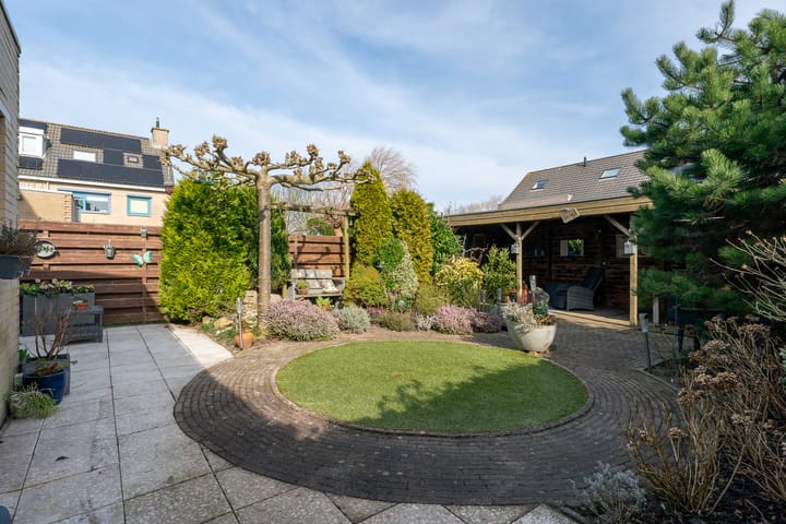 Foto 38 van Klokschildpad 26